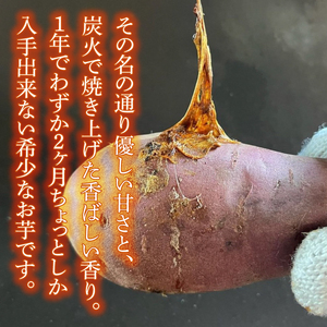 GC-2　【日本最大級のサツマイモの祭典、さつまいも博2024 出店】はるの優しさ（冷凍やきいも）約1kg　冷凍 焼芋 焼き芋 やきいも さつまいも さつま芋 熟成 選べる