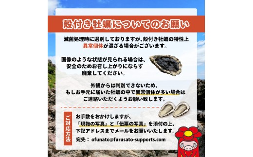 殻付かきのカンカン焼きおかわり用 大12個 加熱用 冷凍 かき 牡蠣 カキ  オイスター oyster アヒージョ バーベキュー BBQ フライ 揚げ物 鍋 ごはん 夕飯 おかず おつまみ 晩酌 米 丼 海産物 海鮮 魚介 魚介類 贈答品 お中元 お歳暮 大船渡 三陸 岩手県 国産