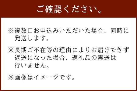 予約受付【限定30セット】ホワイトコーン 10～12本入 とうもろこし トウモロコシ 野菜 B-733 佐賀 鹿島 スイートコーン