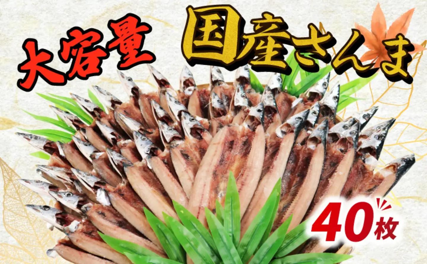 【訳あり】 さんま 40枚 さんま