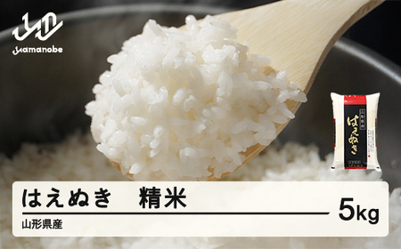 ＜先行予約＞ 新米 はえぬき 精米 5kg 令和7年産 2025年産 ※沖縄・離島への配送不可 tf-hasxb5-10s