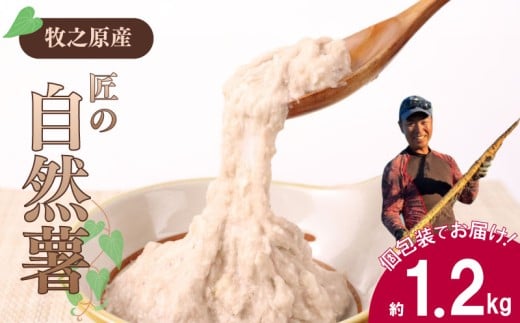 【自然薯 小分け】 約 1.2kg 小分け じねんじょ 山芋 ヤマイモ 山いも とろろ とろろ汁 国産 滋養強壮 強壮 とろろご飯 ご飯のお供 栄養 美味しい おいしい 自宅用 家庭用 贈答用 贈答 贈り物 ギフト プレゼント おすすめ オススメ 小分け 個包装 食べきり 産地直送 農家直送 産直 直送 静岡県産 牧之原産 お土産 とろろごはん やまいも 野菜 芋 たくみファーム 静岡県 牧之原市