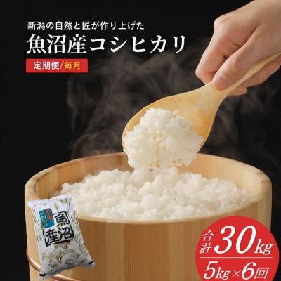 ふるさと納税 小千谷市 【発送月固定定期便】魚沼産コシヒカリ 精米5kg (10月下旬より発送)全6回