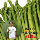 【ふるさと納税】採りたて 春の アスパラガス 約1.8kg 新鮮 野菜 グリーン アスパラ 産地直送 岩手県 北上市産 旬 不揃い サイズ アスパラ王子 石井建一