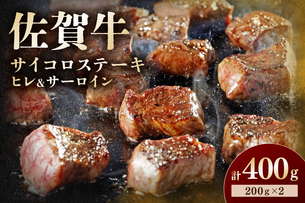 
            佐賀牛 高級部位ヒレとサーロインの食べ比べセット 194-J1609
          