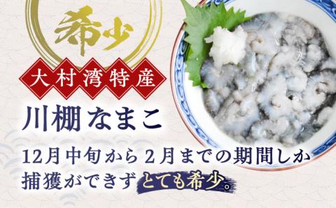 川棚 なまこ 約500g【森水産】[OAI002] / 大村湾で採れる 高級 新鮮 ナマコ おつまみ 魚介