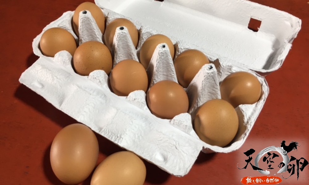 信州小川村　有機飼料を食べて育った、栄養たっぷりの朝採れ卵を当日出荷