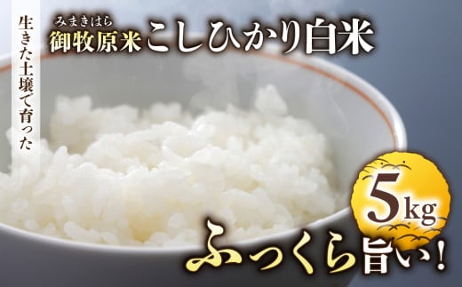 【里山JAPAN】長野県産！生きた土壌で育った御牧原米こしひかり 白米（八分づき・令和7年産）　5kg｜2025年10月上旬以降に発送予定
