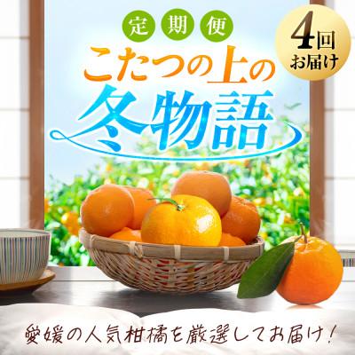ふるさと納税 八幡浜市 【発送月固定定期便】「こたつの上の冬物語」人気の4品種!【H49-70】全4回 |  | 01