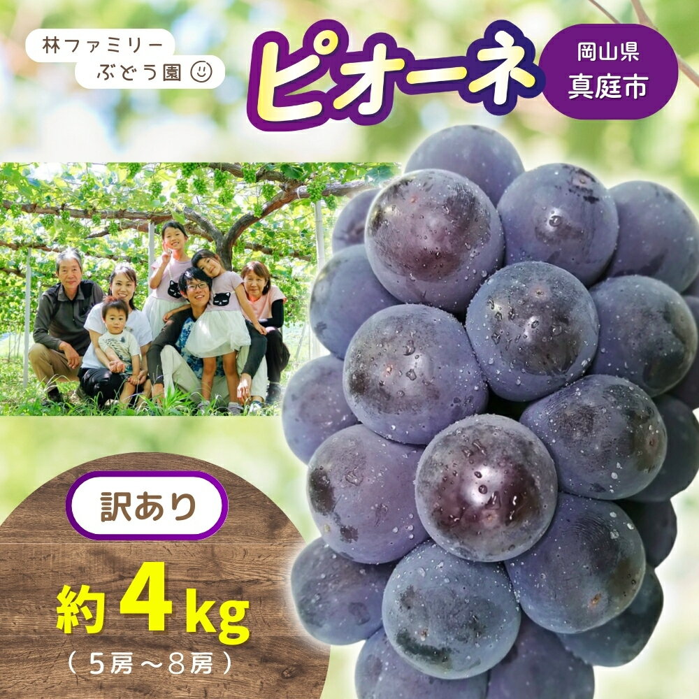 【ふるさと納税】【 訳あり 】岡山県産 林ファミリー の ピオーネ 約4kg（約5～8房） 【2025年 先行予約 】 / 葡萄 ぶどう ブドウ ピオーネ 果物 フルーツ 新鮮 当日出荷 お買い得 家庭用 お試し ぶどう専門 岡山 真庭市