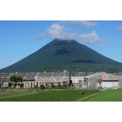 ふるさと納税 中種子町 明治45年創業 中園久太郎商店のこだわりお漬物セット |  | 01