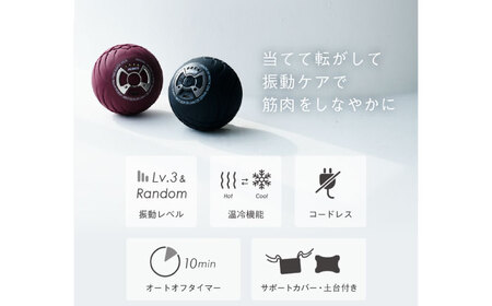 ボディパワーボール リカバー レッド/MCB051R[AOAB180]