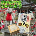 【ふるさと納税】豊川産米「稲荷の里」5kg【1497383】