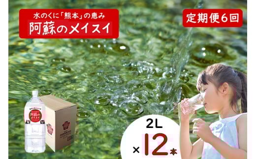 【ふるくま】定期便 6回 阿蘇のメイスイ 阿蘇山 天然水 2L × 12本 2ケース  熊本 阿蘇 水 みず 飲料 くまモンラベル 熊本県 ミネラルウォーター 非加熱殺菌 賞味期限2年 730日 備蓄 保存用