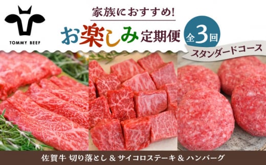 【牧場直送】【3回定期便】佐賀牛 少人数 家族向け お楽しみ 定期便【佐賀セントラル牧場】佐賀県産 牛肉 お肉 肉 切り落とし ステーキ ハンバーグ 食べ比べ 詰め合わせ 九州 佐賀県 白石町 [IAH215]