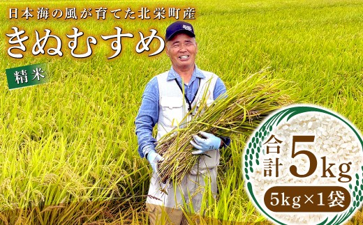 
                  【数量限定】日本海の風が育てた北栄町産きぬむすめ 精米 5kg
                