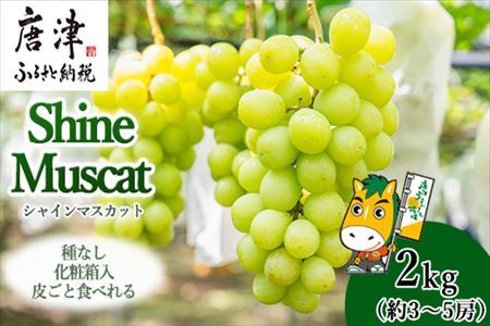 『先行予約』【7月下旬発送予定】甘みがギュッ!と詰まったシャインマスカット 2kg (約3～5房) 化粧箱 フルーツ 果物 ギフト