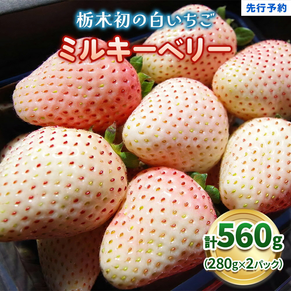 【ふるさと納税】いちご 苺 数量 限定 白いちご ミルキーベリー 選べる 定期便 560g 栃木県産｜【2027年先行予約】フルーツ 果物 貴重 希少 栃木県 矢板市 澳原いちご農園
