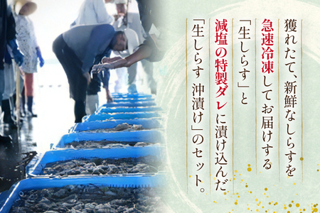 生しらす 160ｇｘ2パック と沖漬け 100g × 2パック 計520g 食べ比べ 小分け セット