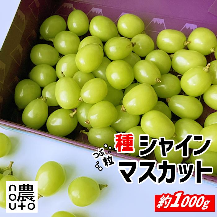 
            【2026年発送★先行予約】【訳あり】 シャインマスカット 粒 1kg以上 154-033 | 不揃い ご自宅用 ご家庭用 フルーツ 果物 高評価 人気 ランキング おすすめ 甘い 美味しい デザート 数量限定 送料無料 山梨県産 笛吹市 ぶどう 「販売」 KEIPE株式会社		
          