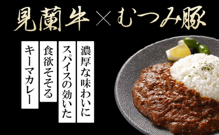 大人の濃厚キーマカレー（10人前）｜HG0038-B