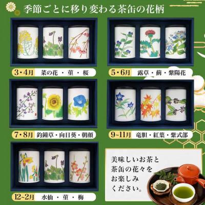 ふるさと納税 都城市 斉光園のふかむし茶 常盤[ときわ] 3缶ギフト |  | 03