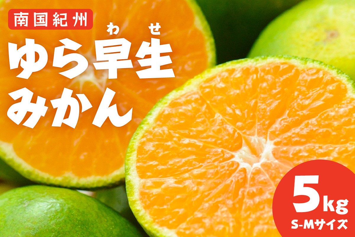 
                  南国紀州のゆら早生みかん≪先行予約≫【配送不可地域：離島】
                