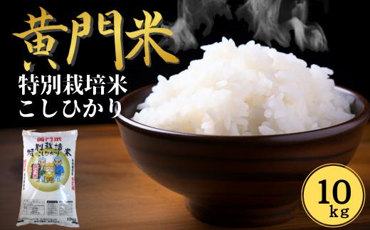 
            【令和6年産】黄門米 特別栽培米 コシヒカリ 10kg  | 茨城県産 常陸太田市 タツミ米穀 コシヒカリ こしひかり 特別栽培農産物認証米  米 コメ こめ 白米 精米 10kg 10キロ 有機肥料 米糠 大豆粉砕 農薬 抑えた 低農薬 健康 体 やさしい 高品質 お米  ご飯 美味しい米 ブランド米  特産物 人気米 タツミ米穀

          