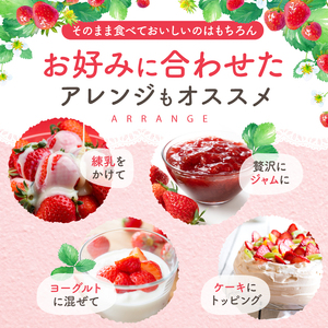 【先行予約受付中】【2027年4月発送】小粒 とちあいか 約560g （280g×2パック）