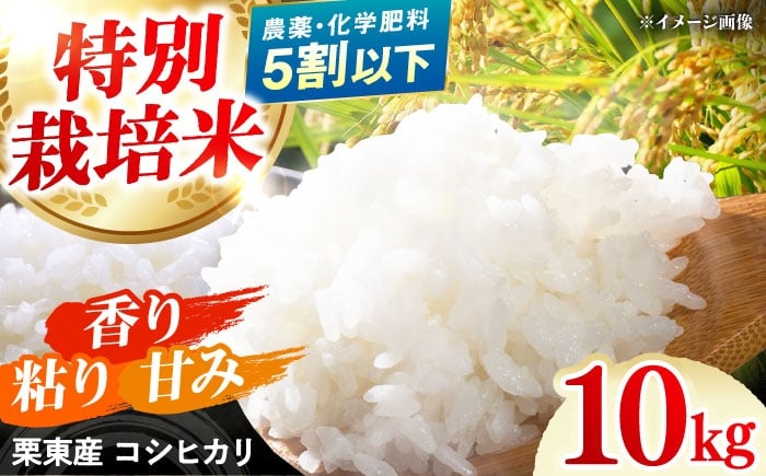 
            令和6年度産 栗東産 特別栽培米 コシヒカリ 10kg ご飯 ごはん ゴハン 栗東市 / レーク滋賀農業協同組合 [BIBV004]
          