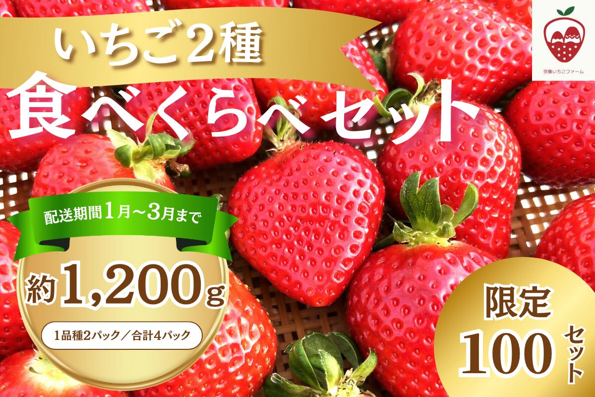 何が届くかお楽しみ！人気のいちご2品種食べ比べセット【宗像いちごファーム】_HA1785