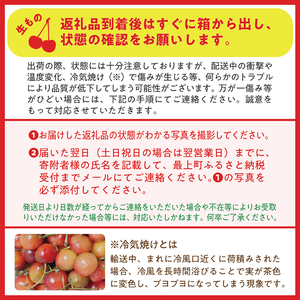 【令和8年産予約】さくらんぼ「佐藤錦」Lサイズ以上 バラ1kg