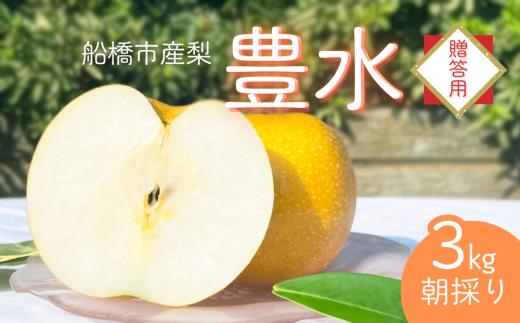 【2025年産先行予約】＜贈答用＞果汁たっぷりの極上梨「豊水・3kg」6～9玉 千葉県 船橋市産