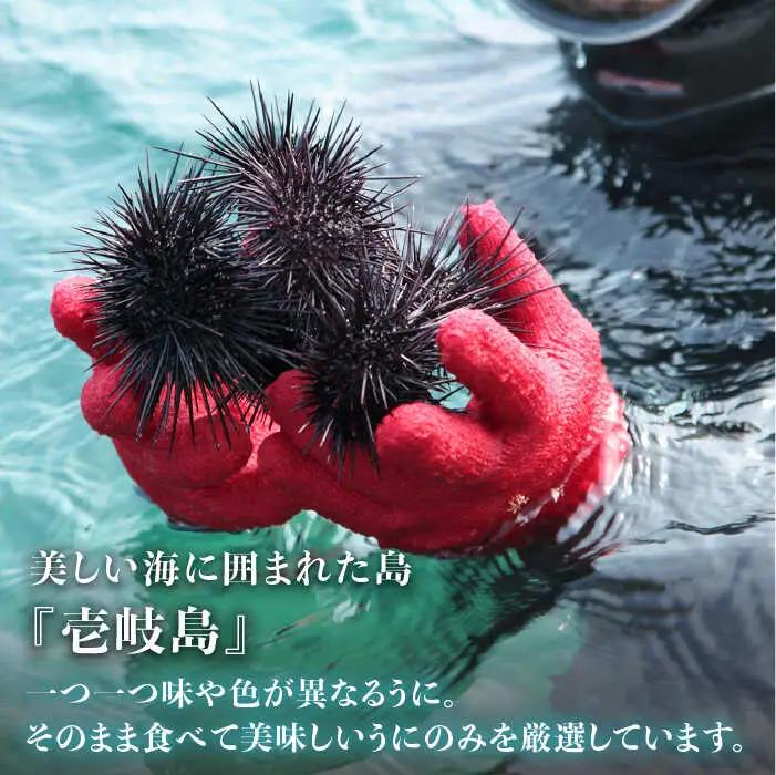 【全12回定期便】【厳選】 うに 60g×1 [JAO038] 生うに