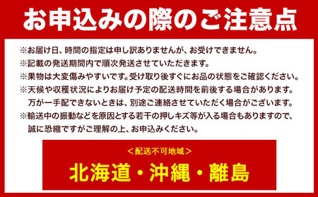 【2026年先行予約】マスカット オブ アレキサンドリア 1房(1房600g以上) 秀品以上 化粧箱入 株式会社山博(中本青果)《2026年7月中旬-8月中旬頃出荷》岡山県 笠岡市 ぶどう マスカット