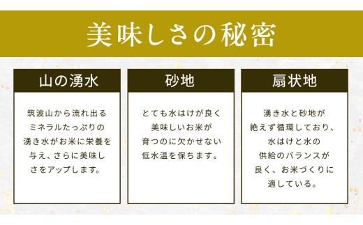 【 令和7年産 】 コシヒカリ ・ にじのきらめき 食べ比べ セット 合計10kg (各5kg) 米 ごはん もっちり 後味すっきり 甘い コメ お米 精米 銘柄米 [AX014sa]
