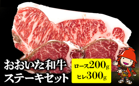 おおいた和牛ステーキセット ロースステーキ200g ヒレステーキ300g 豊国畜産ぶんごや 牛肉 和牛 焼肉 焼き肉セット赤身 大分県産 中津市