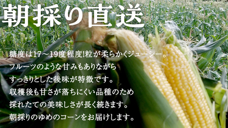 ゆめのコーン 5kg 約10～12本 とうもろこし トウモロコシ スイートコーン 野菜 産地直送 羽生田売店 期間限定 人気 朝採り お取り寄せ 通販 関東 群馬 [AL019tu]