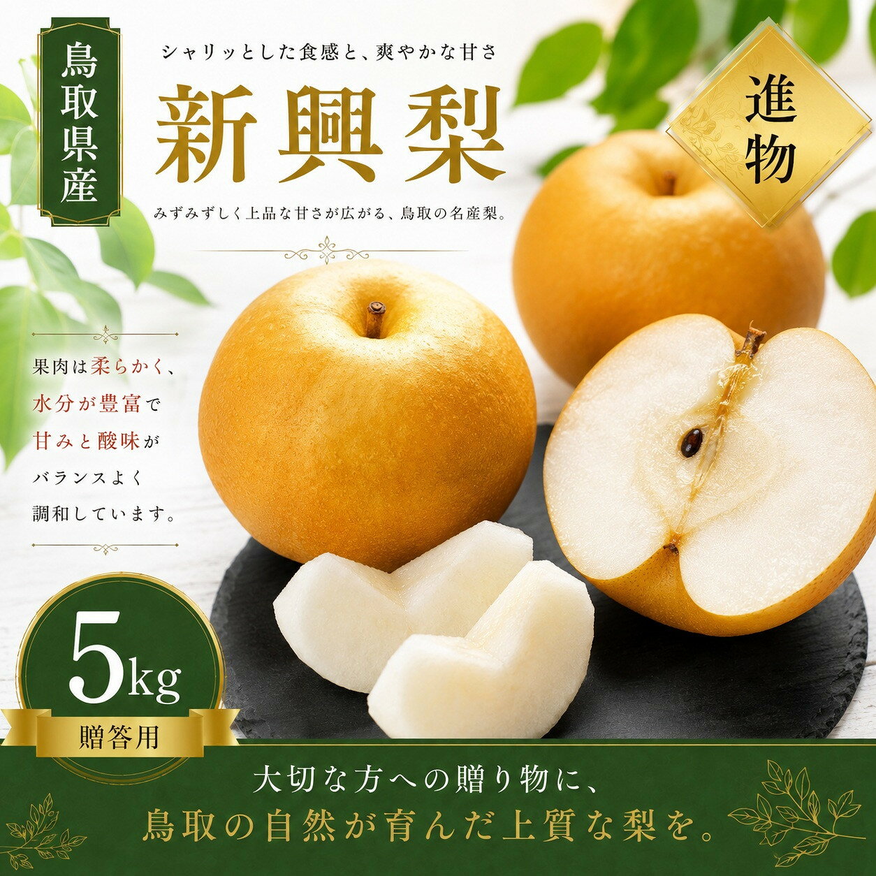 【ふるさと納税】有梨の実石田 新興梨 進物5kg 【鳥取県 境港市】 | フルーツ 果物 くだもの 食品