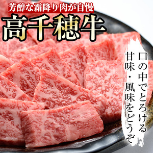 高千穂牛 焼き肉セット(ロース・カルビ各250g)【MT010】【JA高千穂地区ミートセンター】