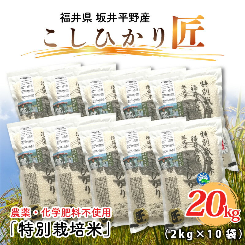 【ふるさと納税】【令和7年産】特別栽培米 コシヒカリ匠 20kg (2kg × 10袋) 栽培期間中農薬不使用 / コシヒカリ こしひかり 白米 玄米 お米