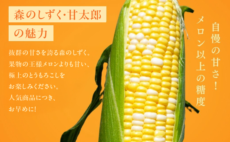 先行予約 とうもろこし 10～14本入り 田中農園 甘い 野菜 夏野菜 旬 夏 高糖度 産地直送 旬の野菜 季節の野菜 おやつ コーン 森のとうもろこし ロイシーコーン 甘太郎 先行 予約 2025 
