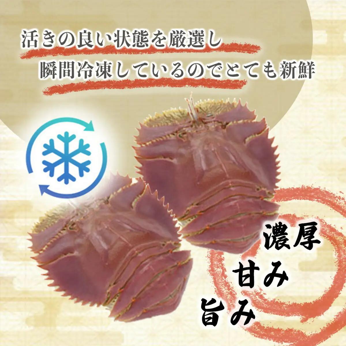 活〆ウチワエビ6~10匹 1000gセット＜数量限定＞ S209 【株式会社森海家】