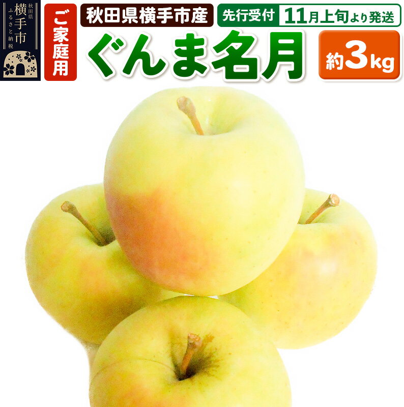 【ふるさと納税】【先行受付】11月上旬より発送 希少品種！秋田県横手産 りんご ぐんま名月 ご家庭用 約3kg