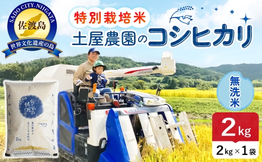 佐渡島産コシヒカリ 無洗米 2kg 令和8年産 特別栽培米 土屋農園 | 新潟県産コシヒカリ 新潟産コシヒカリ 佐渡産コシヒカリ 新潟県産こしひかり 佐渡産こしひかり お米 米 こしひかり 無洗米 むせんまい 精米 おこめ コメ 2キロ にいがた さど 新潟県 佐渡市