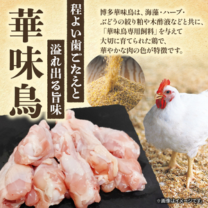 水たきセット 3～4人前 本場 水炊き 水たき 水たき TRZ002