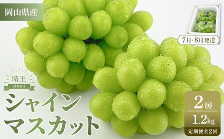 【定期便 全2回／2026年7・8月発送】岡山県産 シャインマスカット 晴王 2房 約1.2kg 　2回定期便　7月・8月に１回づつ出荷　種無し 皮ごと食べる フレッシュ 先行受付　ハレノフルーツ | フルーツ 果物 くだもの シャインマスカット 晴王  種なし 皮ごと フレッシュ 国産 岡山県産 食品 人気 おすすめ 送料無料 定期便 ギフト 贈り物 贈答品 プレゼント ぶどう ぶどう 葡萄 葡萄