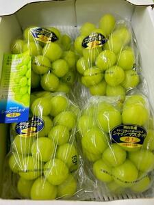 岡山県産　シャインマスカット『晴王』3～5房 (約2kg）