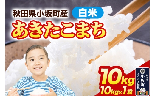【白米】あきたこまち 10kg（10kg×1袋）令和7年産 精米 中村農園 [あきたこまち 米 お米 こめ 白米 精米 ブランド米 食卓 おにぎり 秋田]