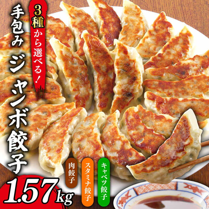 【ふるさと納税】 餃子 1.57kg 選べる 肉餃子 / スタミナ餃子 / キャベツ餃子 冷凍 小分け 国産 便利 解凍不要45個 手包み ジャンボ 便利 ぎょうざ ギョーザ 焼き餃子 豚肉 鶏肉 野菜 たっぷり 手軽 絶品 晩ごはん 家族 子ども 弁当 おかず おつまみ 簡単調理 千葉県 旭市